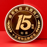 浙江杭州博地控股工齡紀念章_ 銀章制作 紀念章制作 紀念章定制 金銀章定制 激光